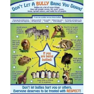   Resources NS3307 Posters  Anti Bullying  12 Packs