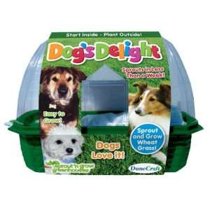  New   Dogs Delight Dog Treat Plant Kit Case Pack 12 