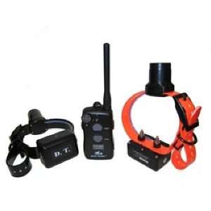  D.T. Systems EZT 5002 Remote Dog Trainer Sports 