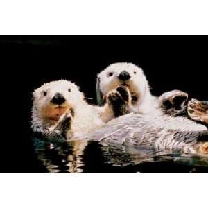  Sea Otters Poster (#119)