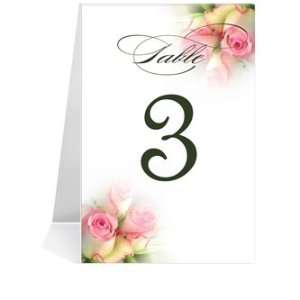   Table Number Cards   Rose Pink Baby Twins #1 Thru #29