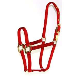   Arabian Horse Halter for 500 to 800 Pound Horse, Red