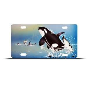  Killer Whale Whales Novelty Airbrushed Metal License Plate 