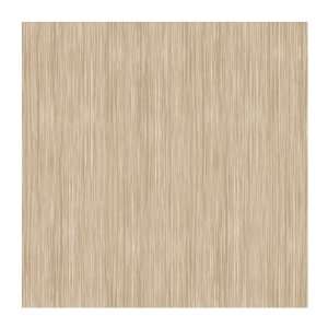  York Wallcoverings PX8958 Color Expressions Wood Texture 