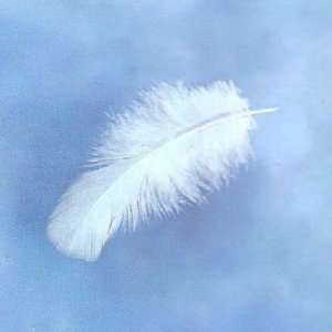  Floating white feather Stickers Arts, Crafts & Sewing