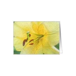  Yellow Lily Digital Art Pencil Flower Photo Blank Note 