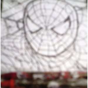  Spiderman 3 Puzzle Color Kit (4 X 6) 