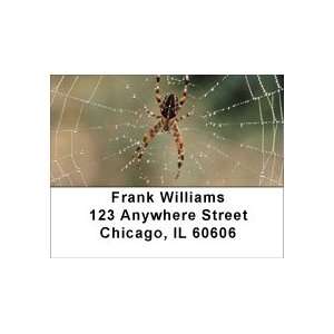  Spider Webs Address Labels