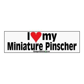  I Love My Min Pin   bumper stickers (Large 14x4 inches 