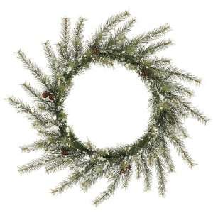  36 Tannenbaum Pine With Snow Wreath 84t
