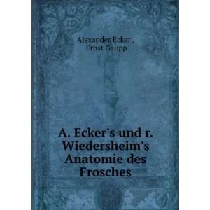   Wiedersheims Anatomie des Frosches Ernst Gaupp Alexander Ecker