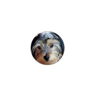  Yorkshire Terrier Puppy Dog 3 1in Button C0654 Everything 
