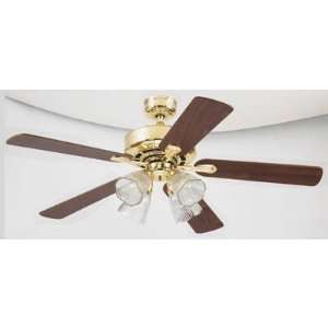 Protege™ 5 blade 52 inch Ceiling Fan, Light Fixture with Clear Glass 