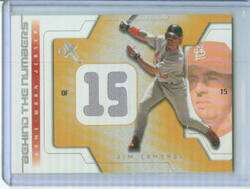 Jim Edmonds 2002 EX Game Used Jersey  