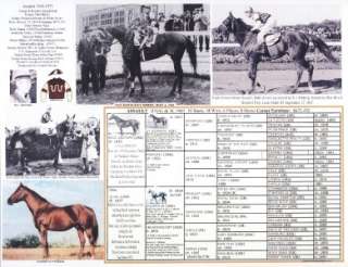 Race Horse 1946 Triple Crown winner ASSAULT King Ranch picture 