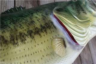 NEW World Record 22 lb + Largemouth BASS Fish Mount  