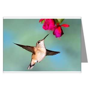  Greeting Card Black Chinned Hummingbird 