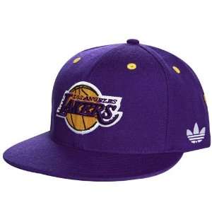  adidas Los Angeles Lakers Purple 15 Time NBA Champions 