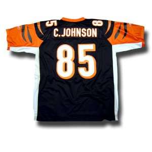Chad Johnson Repli thentic NFL Stitched on Name and Number EQT 