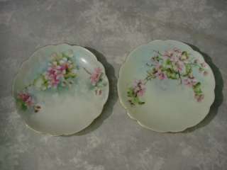 Pair ANTIQUE FLORAL PLATES Germany Bavaria HAND PAINTED Dogwood Fine 