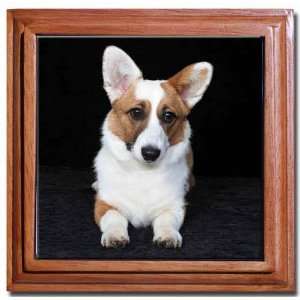  Cardigan Welsh Corgi Tile Trivet