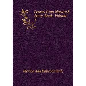   Story Book, Volume 3 Meriba Ada Babcock Kelly  Books