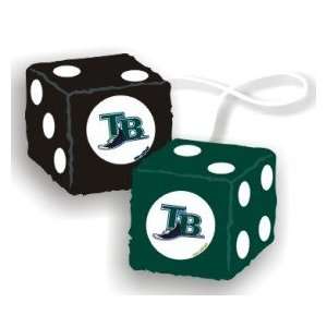  Tampa Bay Devil Rays Fuzzy Dice