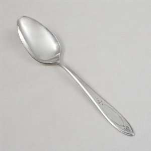  Adam by Community, Silverplate Tablespoon (Serving Spoon 