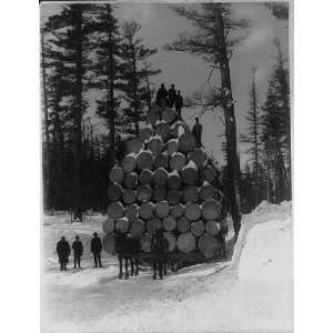  Worlds Fair,load of logs,hauled through forest,c1893 