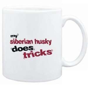    Mug White  MY Siberian Husky DOES TRICKS  Dogs