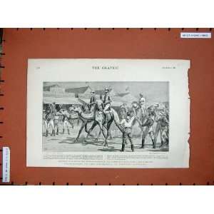    1896 Australia Camels Coolgardie Governor Kalgurlie