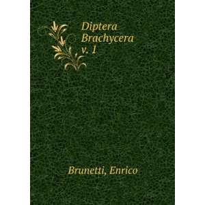  Diptera Brachycera. v. 1 Enrico Brunetti Books