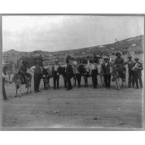  Burros,tarpaper/wood shacks,Goldfield,NV,Esmeralda Co 