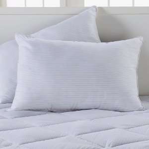  Concierge Collection 2 pack Pinstripe Bed Pillows   Jumbo 