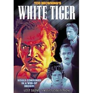 White Tiger   11 x 17 Poster