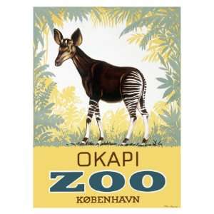 Okapi Copenhagen Zoo Giclee Poster Print, 18x24 