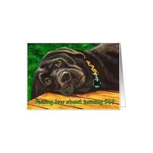  Funny Birthday ~ 56 Years Old ~ Labrador Dog Card Toys 