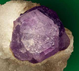   sharply formed fluorite crystal superb contrast with white matrix