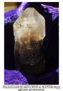   mine quartz scepter crystals are found in nevada natural quartz