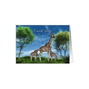  Everyday is Earth Day Wildlife, Giraffes, Earth, Holiday 