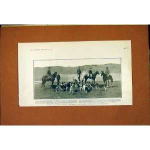  General Alderson Hounds Pretoria Hunt Old Print 1902