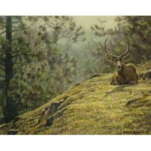  Robert Bateman   Mule Deer Resting