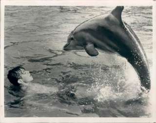   the film and TV Porpoise and actor Luke Halpin. Dated July, 1964
