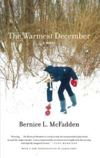   The Warmest December by Bernice L. McFadden, Akashic 