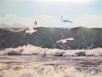 Uwe Werner Oil Painting Seascape  