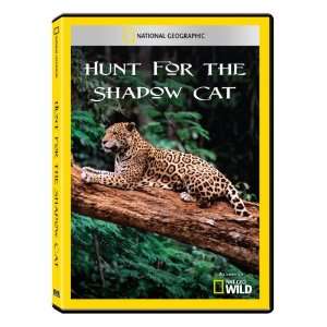  National Geographic Hunt for the Shadow Cat DVD R 