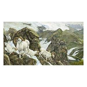     The High Life   Dall Sheep Canvas Giclee Edition