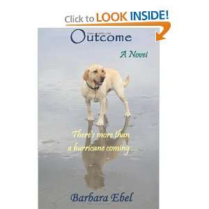   more than a hurricane coming  [Paperback] Barbara Ebel Books
