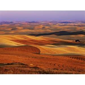 View of Colorful Palouse Farm Country at Twilight, Washington, USA 