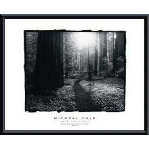   The Light   Artist Micheal Cole  Poster Size 20 X 16